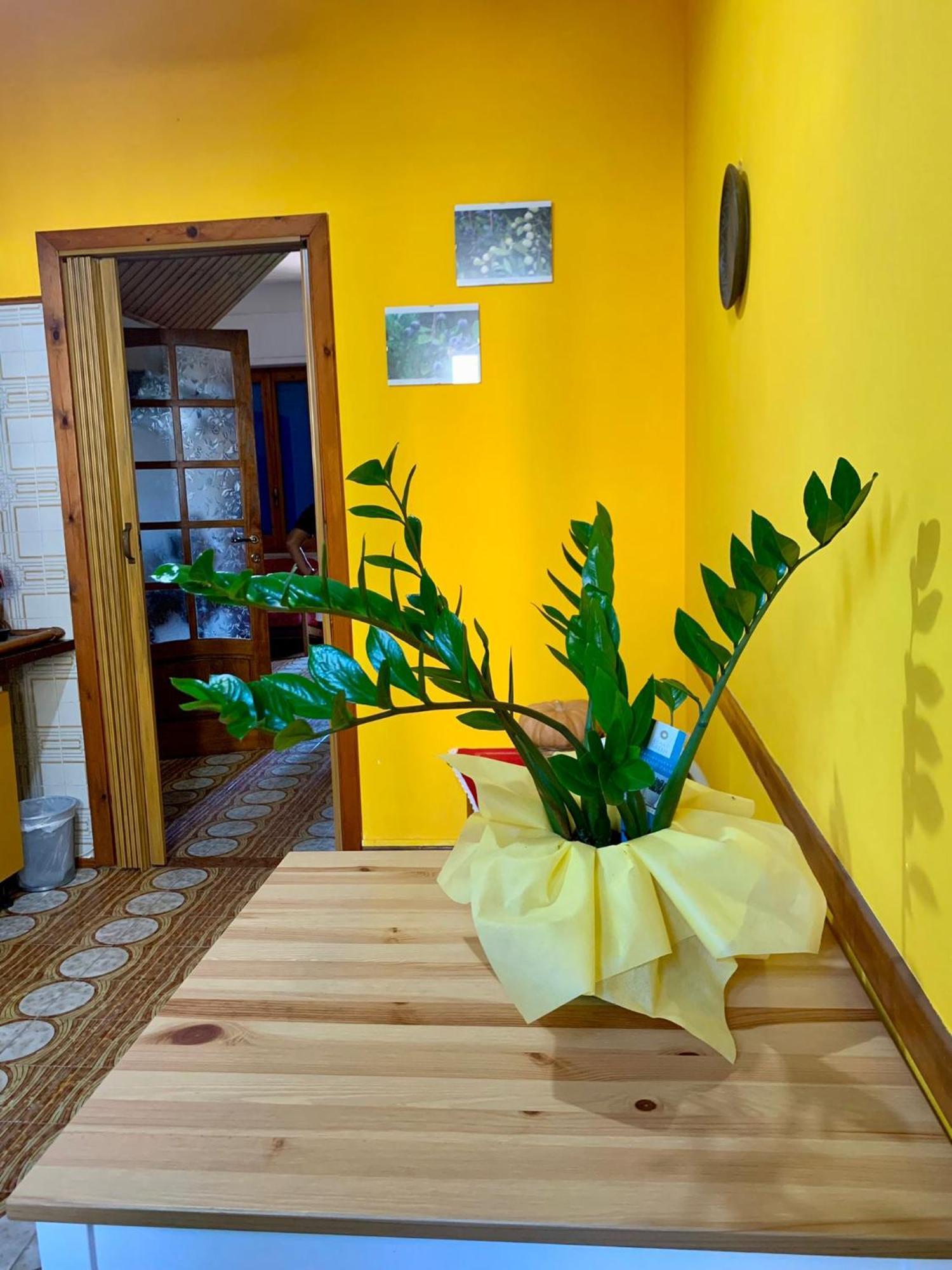 B & B Il Mirto 2 Sant'Antioco Ngoại thất bức ảnh